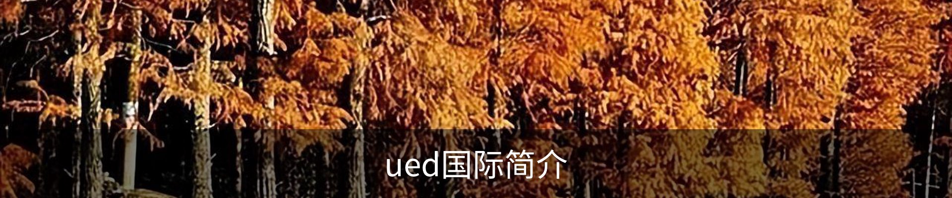 ued国际简介